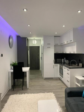 Apartament Bielskiego 44a